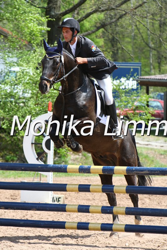 004M2081_Bingo_Punkte L m. Joker.JPG